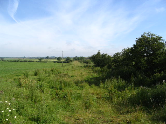 Image 4 of 24  -  56 kB