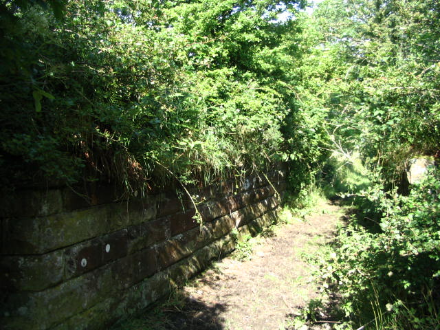 Image 8 of 24  -  114 kB