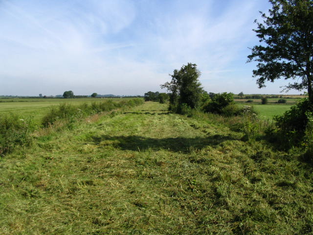 Image 9 of 24  -  76 kB