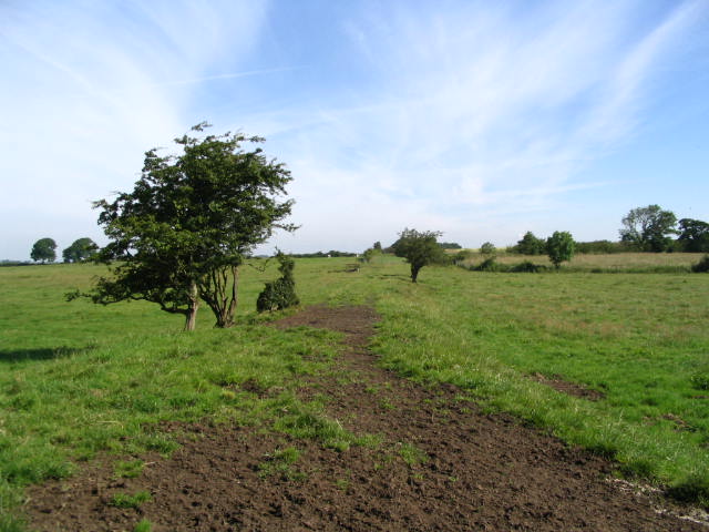 Image 15 of 24  -  61 kB