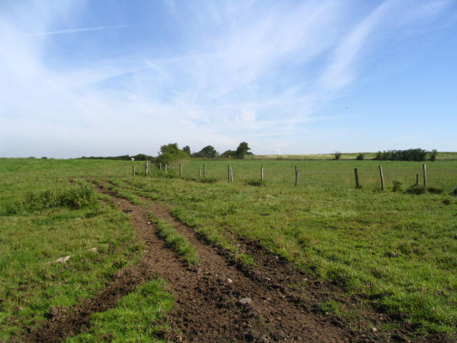 Image 16 of 24  -  57 kB