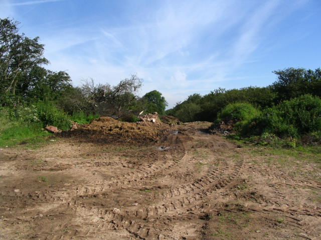 Image 17 of 24  -  70 kB