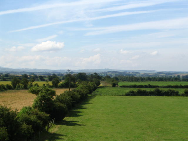 Image 23 of 24  -  40 kB