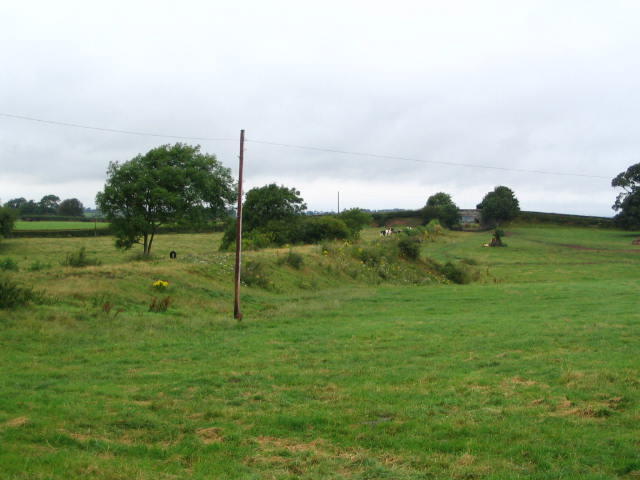 Image 6 of 12  -  47 kB