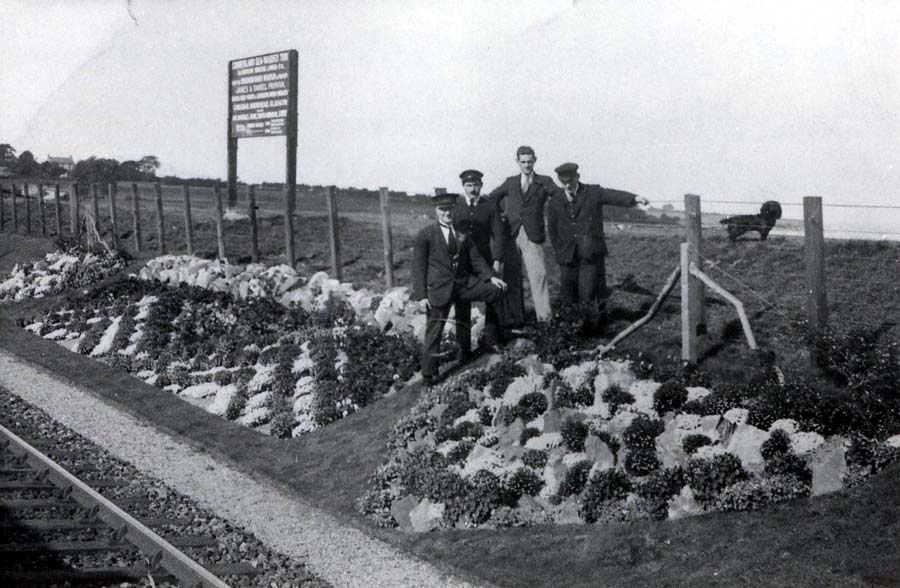 Image 18 of 23  -  106 kB