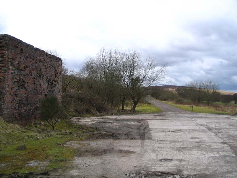 Image 40 of 60  -  78 kB