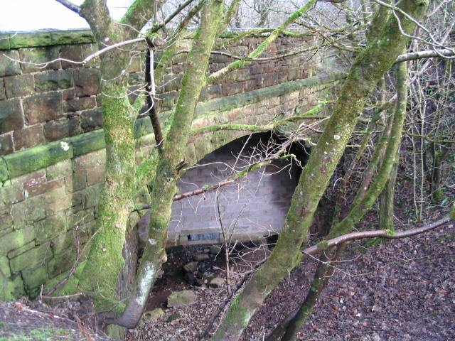 Image 2 of 40  -  102 kB