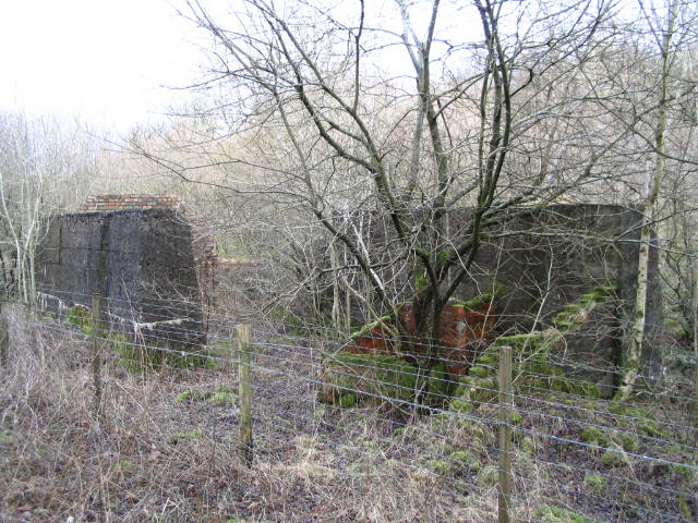 Image 4 of 40  -  101 kB
