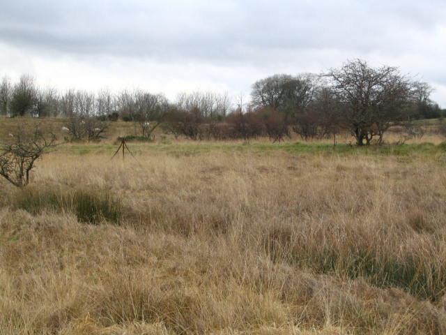 Image 5 of 40  -  56 kB