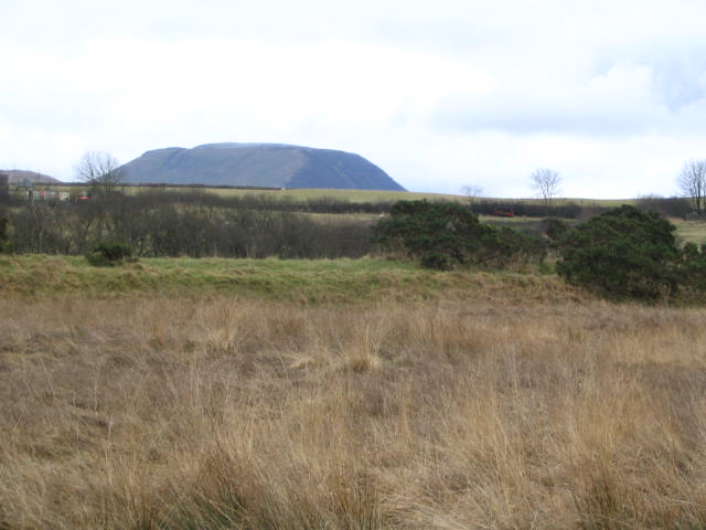 Image 6 of 40  -  44 kB