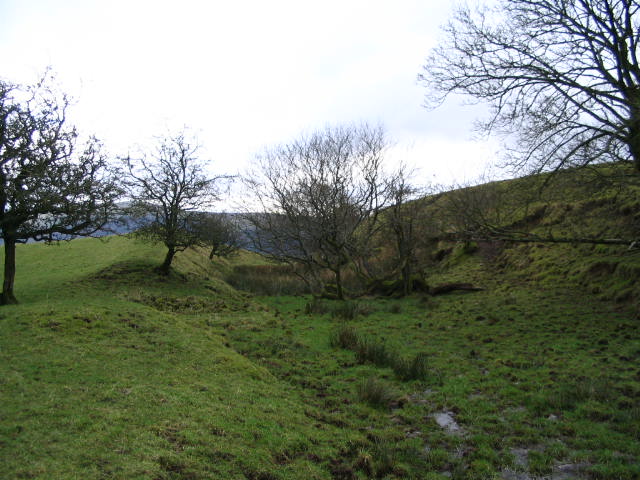 Image 15 of 40  -  74 kB