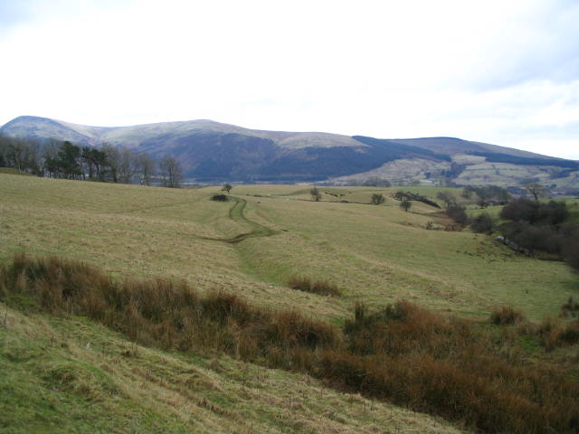 Image 16 of 40  -  46 kB