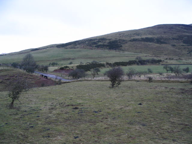 Image 39 of 40  -  48 kB