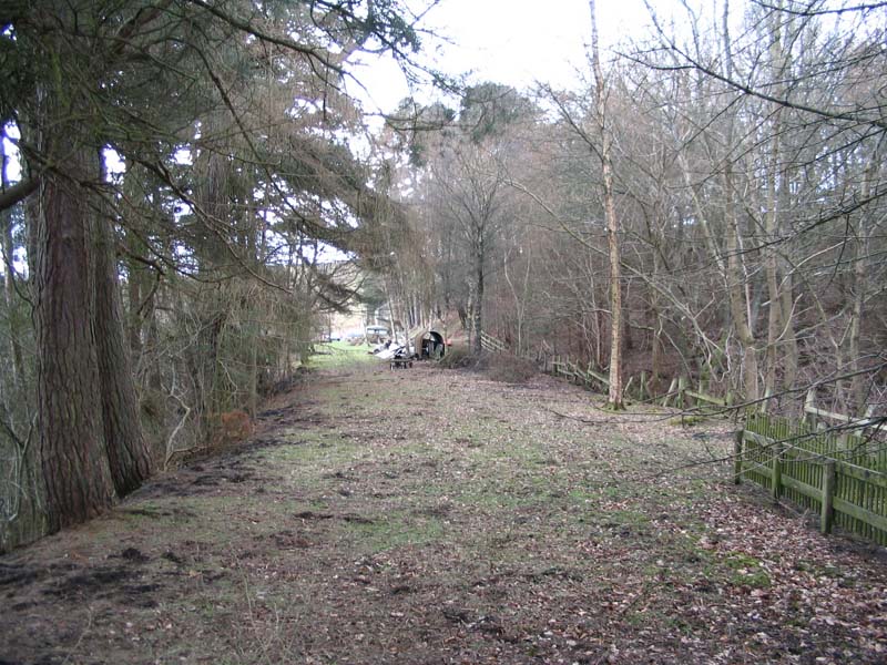 Image 56 of 60  -  145 kB