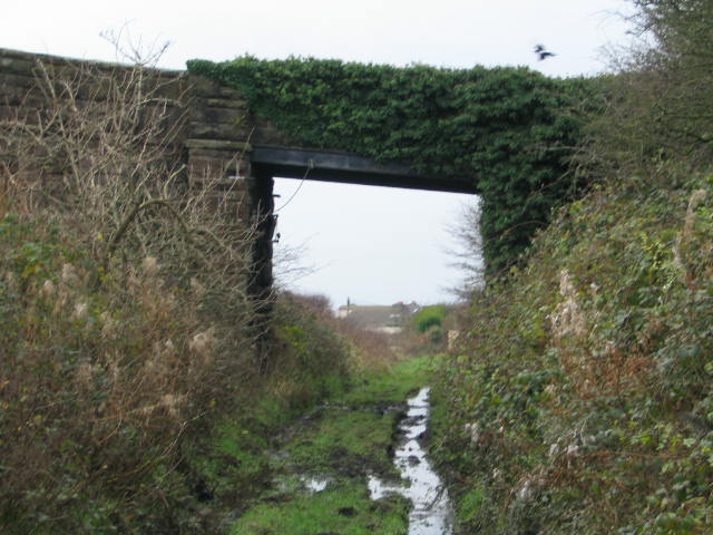 Image 7 of 20  -  68 kB