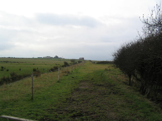 Image 17 of 20  -  42 kB