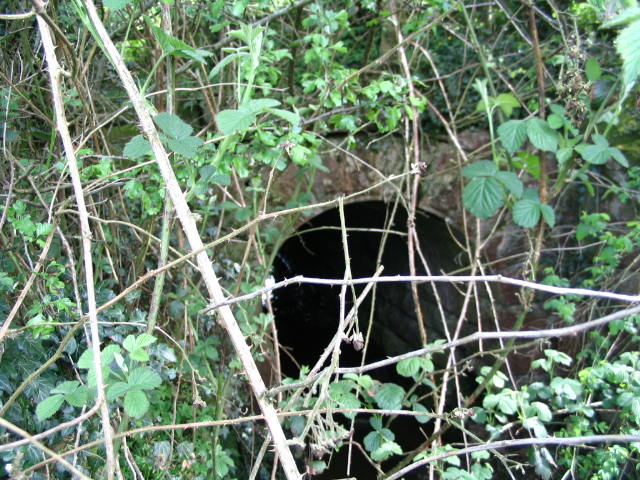 Image 7 of 39  -  111 kB