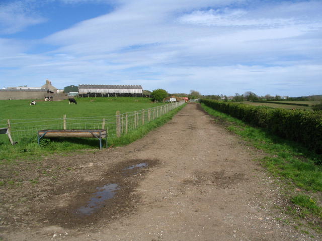 Image 8 of 39  -  53 kB