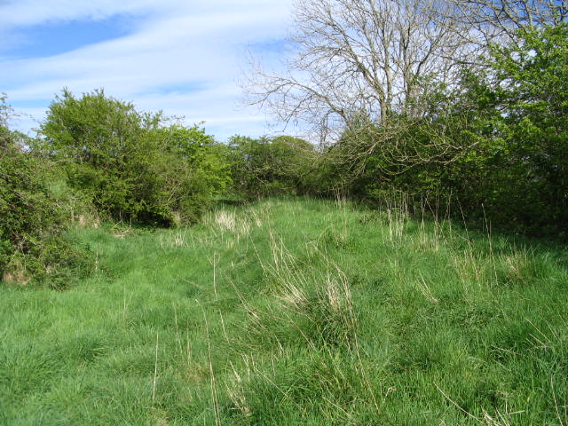 Image 11 of 39  -  98 kB