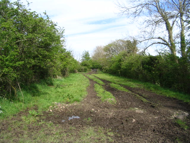 Image 15 of 39  -  89 kB