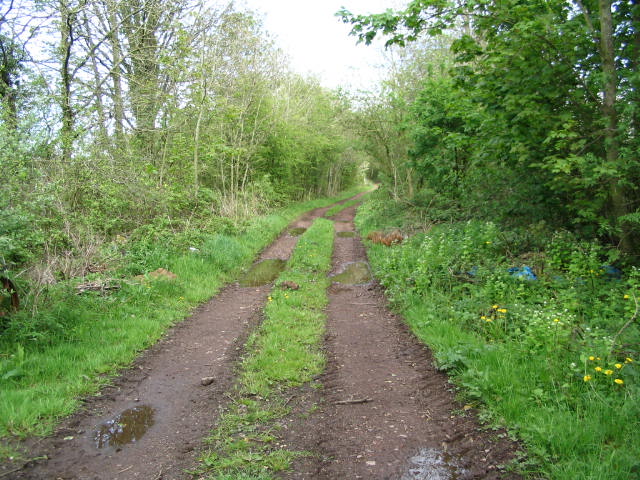 Image 21 of 39  -  102 kB