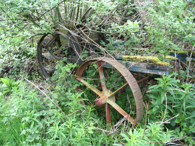 Image 23 of 39  -  131 kB