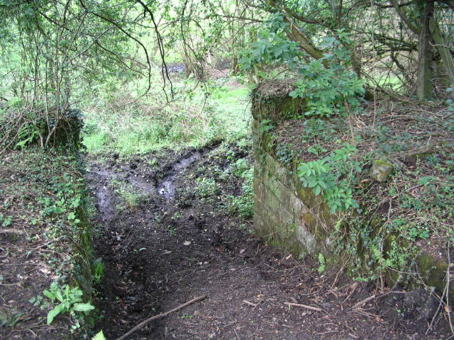 Image 25 of 39  -  123 kB