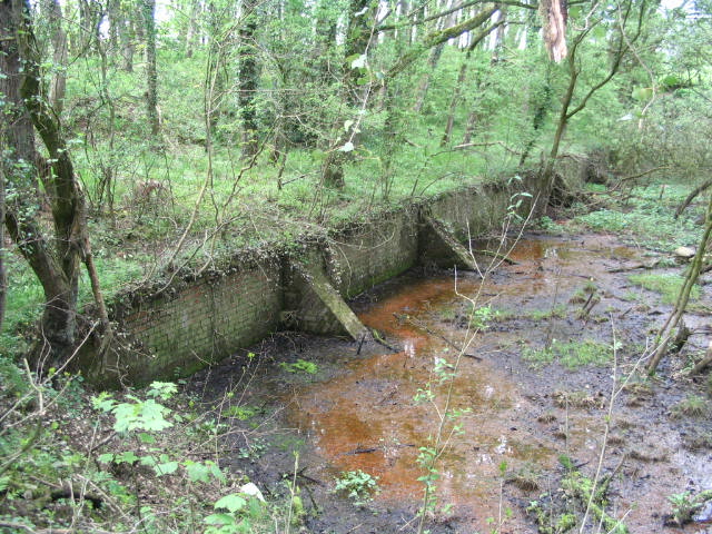 Image 26 of 39  -  113 kB