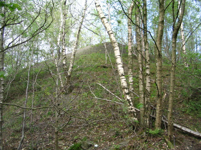 Image 27 of 39  -  119 kB