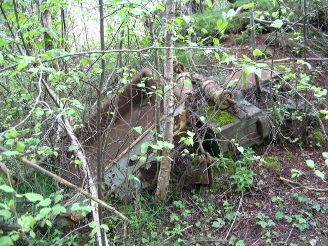 Image 28 of 39  -  121 kB