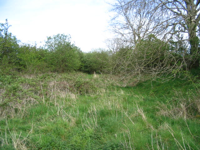 Image 33 of 39  -  92 kB