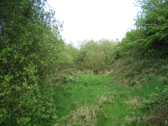 Image 34 of 39  -  85 kB