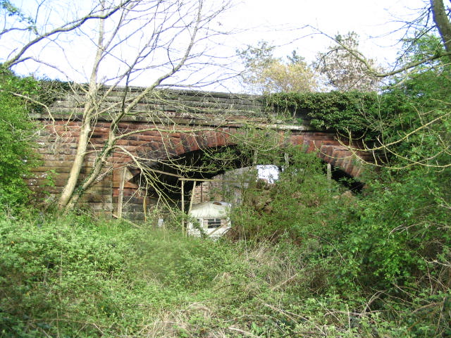 Image 36 of 39  -  116 kB