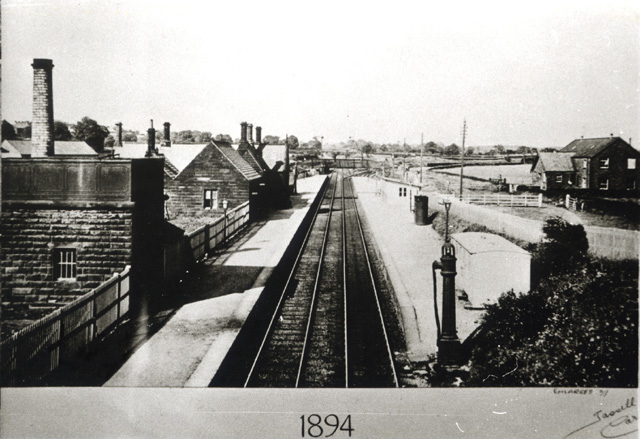 Image 1 of 20  -  126 kB