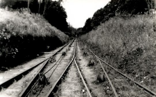 Image 21 of 30  -  119 kB