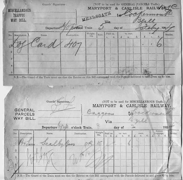 Image 15 of 16  -  322 kB