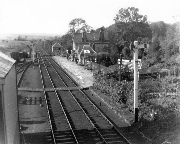 Image 12 of 15  -  96 kB