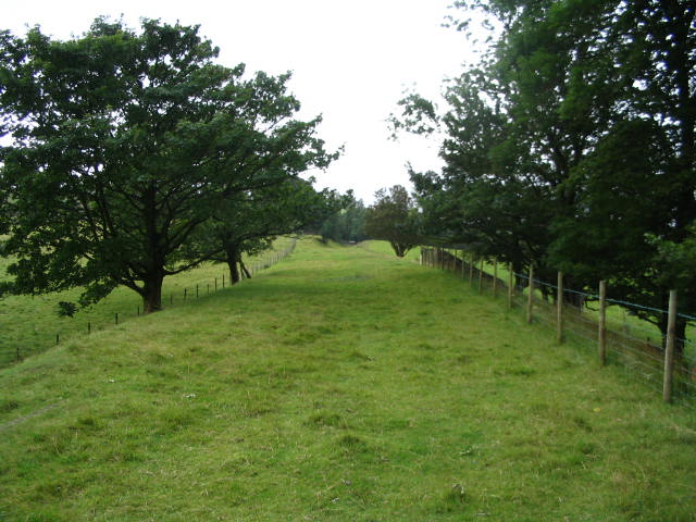 Image 11 of 58  -  75 kB