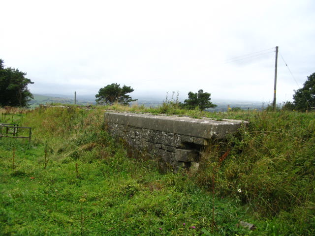 Image 14 of 58  -  64 kB