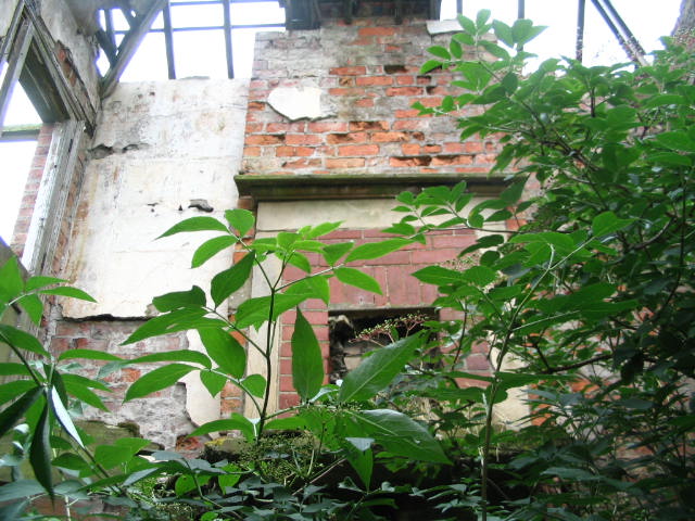 Image 22 of 58  -  91 kB