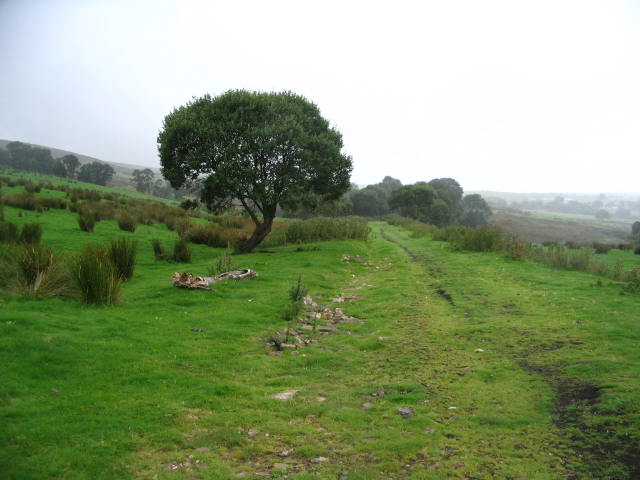 Image 27 of 58  -  52 kB