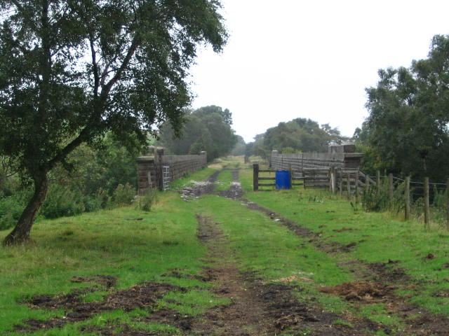 Image 33 of 58  -  74 kB