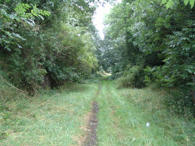 Image 38 of 58  -  97 kB