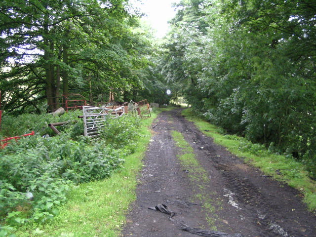 Image 39 of 58  -  98 kB