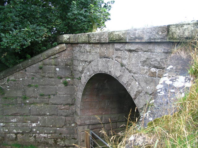 Image 45 of 58  -  85 kB