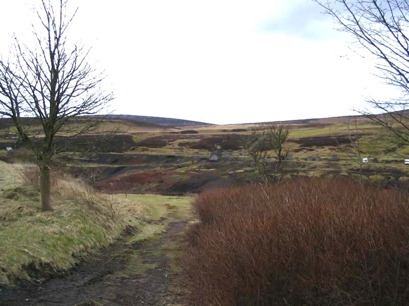 Image 38 of 60  -  86 kB