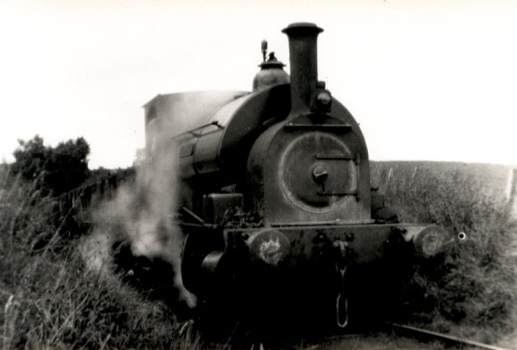 Image 26 of 30  -  78 kB