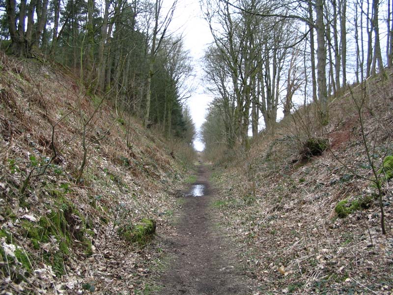 Image 4 of 60  -  178 kB