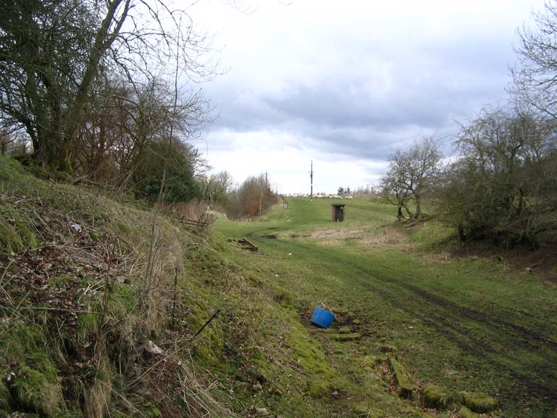 Image 24 of 60  -  117 kB