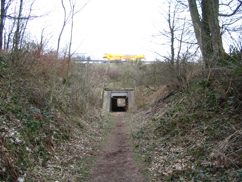 Image 3 of 60  -  142 kB